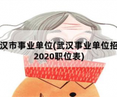 武汉市事业单位，武汉事业单位招聘2020职位表
