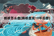 桃核怎么盘，桃核盘成10年后图