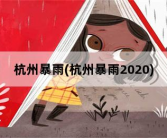 杭州暴雨，杭州暴雨2020