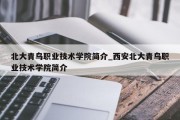 北大青鸟职业技术学院简介_西安北大青鸟职业技术学院简介