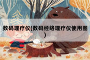 数码理疗仪，数码经络理疗仪使用图