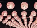 泉州的中秋节习俗 香港地区的花灯会与舞火龙
