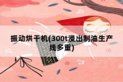 振动烘干机(300t浸出制油生产线多重)