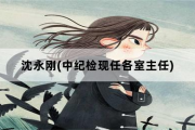 沈永刚，中纪检现任各室主任