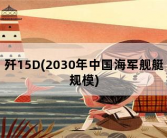 歼15D，2030年中国海军舰艇规模