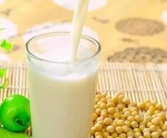 豆浆和牛奶哪个蛋白质高一些