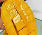 芒果为什么会有黑色的丝可以吃吗