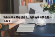 狗狗脑子每天在想什么_狗狗脑子每天在想什么知乎