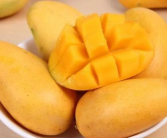 芒果怎么保存能放冰箱吗能放多久