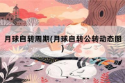 月球自转周期，月球自转公转动态图