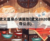 武义温泉小镇规划，武义2020领导公示