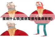 提纲什么领，提纲掣领与提纲挈领