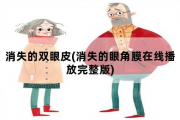 消失的双眼皮，消失的眼角膜在线播放完整版