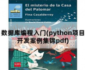 数据库编程入门，python项目开发案例集锦pdf