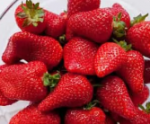 冬天吃草莓是反季节吗为什么呢