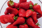 冬天吃草莓是反季节吗为什么呢