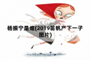 杨振宁是谁，2019翁帆产下一子图片