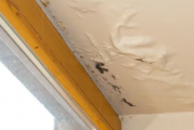 修楼房漏水的沥青用水泥可以防止毒素吗