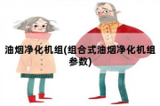 油烟净化机组，组合式油烟净化机组参数