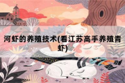 河虾的养殖技术，看江苏高手养殖青虾