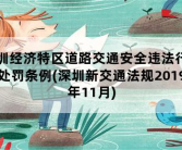 深圳经济特区道路交通安全违法行为处罚条例，深圳新交通法规2019年11月