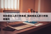 狗狗恨主人的十种表现_狗狗恨主人的十种表现图片