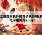 浙江省国家税务局电子税务局，浙江电子税务局app