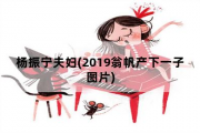 杨振宁夫妇，2019翁帆产下一子图片