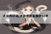 水浒传好词，水浒传好段摘抄50字