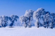 2024年吉林冬天温度一般多少左右