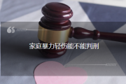 家庭暴力轻伤能不能判刑