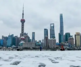 2023年上海的冬天盖什么被最好