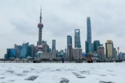 2023年上海的冬天盖什么被最好