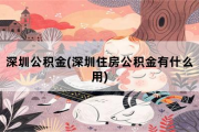 深圳公积金，深圳住房公积金有什么用