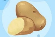 土豆是优质碳水吗 土豆是碳水化合物食物吗