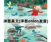 洋葱英文，洋葱onion发音