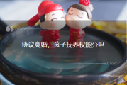 协议离婚，孩子抚养权能分吗