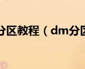 dm10.0分区教程（dm分区图解）