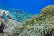 马里亚纳海沟正在吞噬海水(马里亚纳海沟吸收海水)