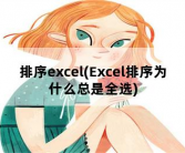 排序excel(Excel排序为什么总是全选)