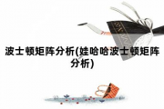 波士顿矩阵分析，娃哈哈波士顿矩阵分析