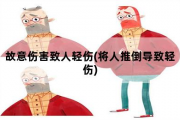 故意伤害致人轻伤，将人推倒导致轻伤