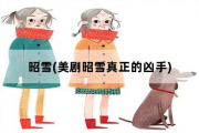 昭雪，美剧昭雪真正的凶手