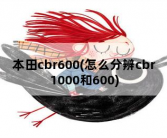 本田cbr600，怎么分辨cbr1000和600