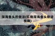 深海鱼头的做法，红烧深海鱼头做法视频