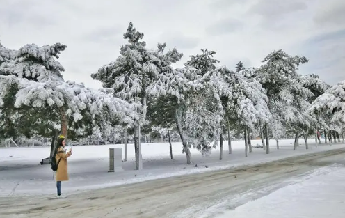 2023年小雪节气冷不冷1