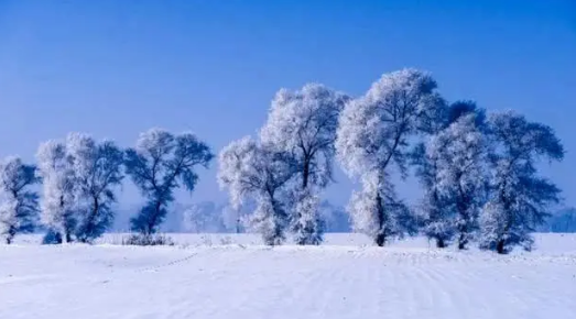2024年吉林冬天温度一般多少左右1