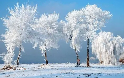 2024年吉林冬天中到大雪最低温度是多少3