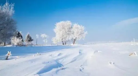 2024年吉林冬天中到大雪最低温度是多少2