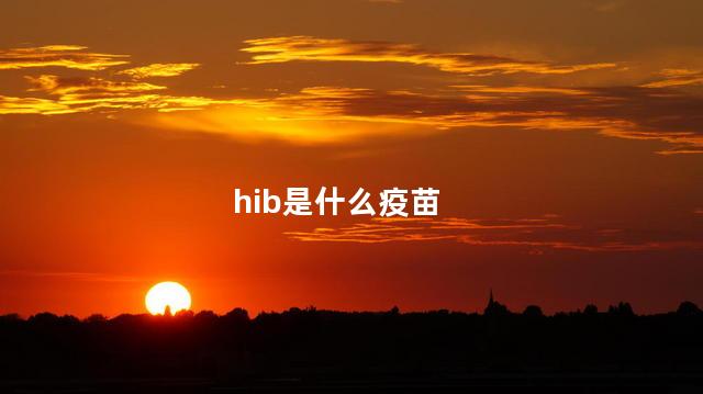 hib是什么疫苗